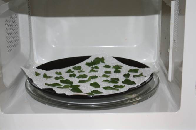 Drying food at home | UMN Extension
